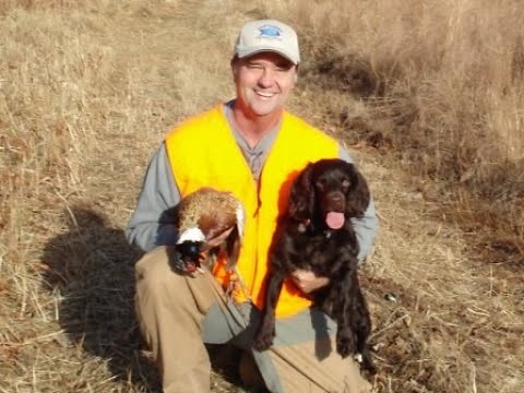 Boykin Spaniels 2022 on "Outdoors with Joey Mines"