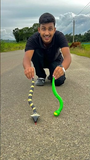 Remote control snake video 🔥