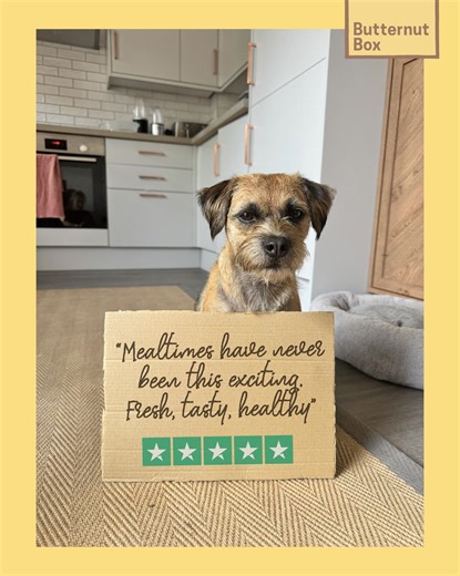 4.1K views · 37 reactions | ⭐️⭐️⭐️⭐️⭐️ "I have a very happy, healthy...