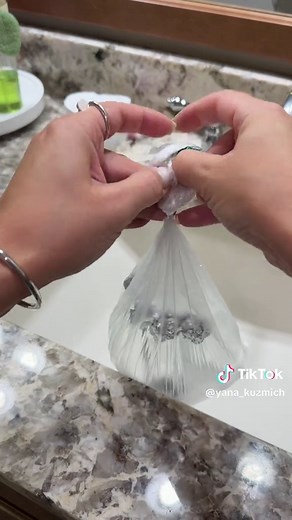 Effective Life Hacks to Eliminate Flies at Home