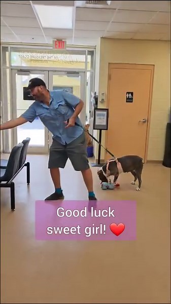 176K views · 12K reactions | Happy day! Good luck sweet girl! | Humane Society of the Treasure Coast | Facebook