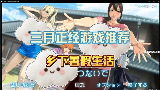 你是个腼腆的小男孩暑假去乡下的阿姨家生活，在偏僻的村落里有一群迷人的姐姐，会发生什么故事呢？游戏推荐乡下暑假生活