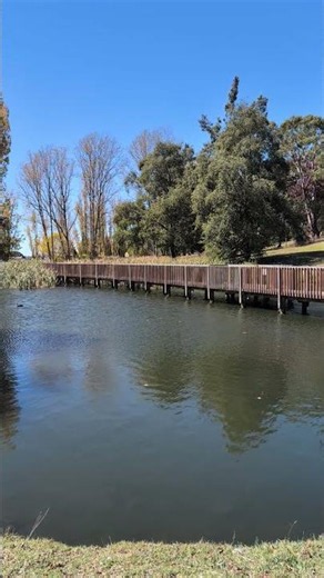Arboretum Park, Armidale 🇦🇺 #trendingshorts #nature #memoriesmade #australiadiaries #beautifulnature