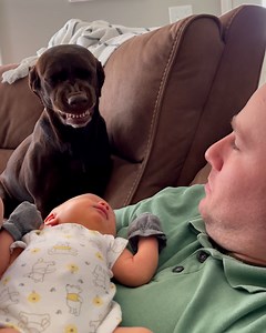 1.9M views · 15K reactions | This dog is experiencing what it's like to become an older sibling 藍 | Lessons Learned In Life | Facebook