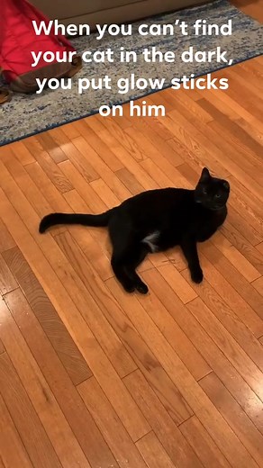 YES… UNO IS GLOWING | One eared uno