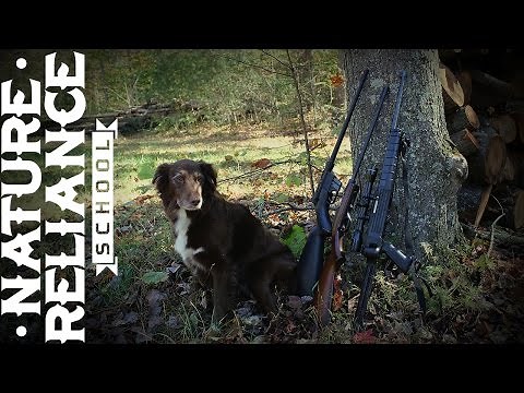BEST 22 Long Rifles Review - Survival, Hunting, Plinking