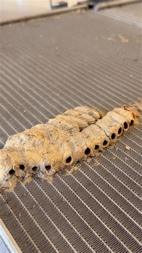 372K views · 4K reactions | Customer complained about ac not blowing cold on a sprinter. Let’s see what’s choking the air flow #autoshop #sprinter #carrepairs #truckrepair | Dave's Auto Center | Facebook