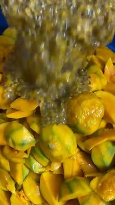 This is the beauty of agriculture. #agribusiness #agriculture #Agricultural | Chrisstal FARMS.