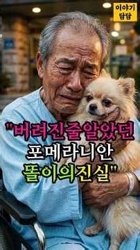 "버려진 줄 알았던 포메라니안 똘이의 진실" 🐶💔 #감동사연 #강아지 #영감을주는이야기 #강아지감동사연 #shorts