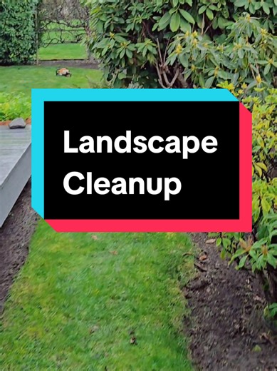 Need a landscape refresh? We've got your cleanup needs covered! 🌳🧹 #Landscape #Cleanup #Service#fypシ゚v #videovira