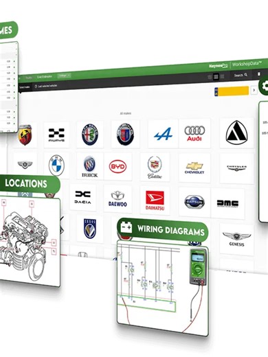 #AUTODATA #ALLDATA #HAYNESPRO #TIKTOK #DIAGRAM