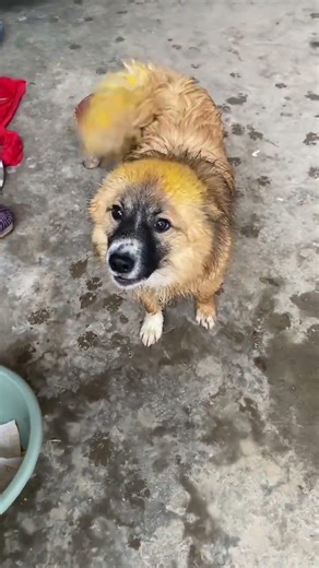 Revolutionary DIY Home Decor Ideas for Beginners