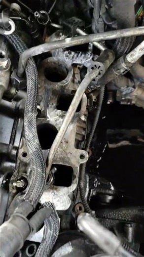 Audi Q7 3.0 Tdi Leaking oil cooler