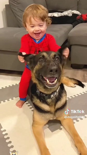 Dogs are our best friend #dogsoftiktok #funnypaws #puppiesoftiktok #cute #usa