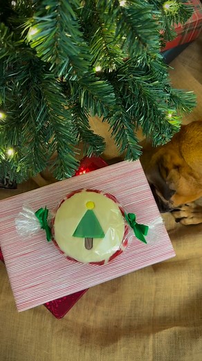 Harry’s got a nose for the good stuff 🎁 Retro Candy isn’t just cute under the tree — it gives back ♥️ 100% of our profits from Retro Candy go toward helping dogs in need this holiday. Learn more at fluffandtuff.com 🐾 #fluffandtuff #holidaycharitytoy #retrocandy #givingback | Fluff & Tuff dog toys