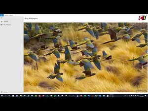 Windows 10 - Bing Wallpapers