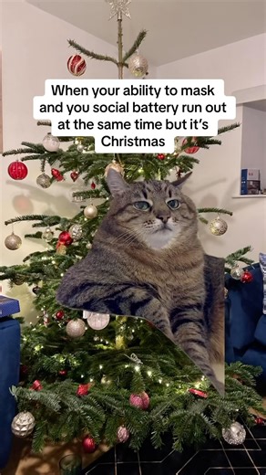 So you just go quiet and hope for the best 😅🙈 Ps I wish you a super merry christmas and I hope you managed to not get too overstimulated and overwhelmed sothat you were able to still enjoy it ❤️🥰 #adhdhumor #adhdpov #adhdmasking #neurodivergentchristmas #MemeCut #adhdchristmas #Meme | Cherry ADHD