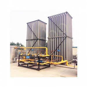 [Hot Item] Cryogenic Liquid Nitrogen Ambient Air Gasifier Vaporizer for LNG Gasify