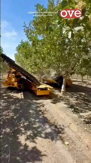 COE C7 Shaker & L2 Elevator | Nut, Olive, and Fruit Harvesting #fypシ #agriculture #azerbaycan #farm