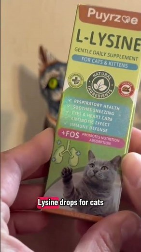 Tired of messy powders? This easy-to-use liquid L-lysine for cats is a game-changer!#amazonfinds