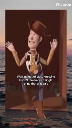 #Meme #MemeCut #CapCut | memecut