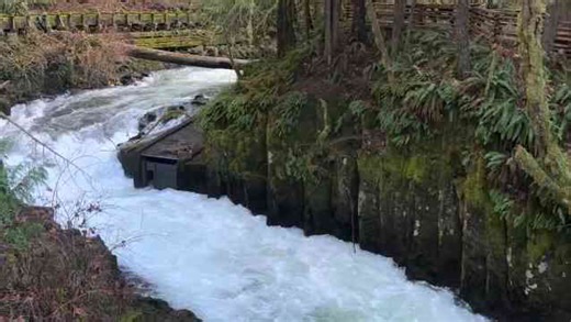 Just Spotted This Insane River!