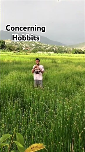 Concerning hobbits on wooden soprano recorde #recorder #lotr ##lordoftherings #thehobbit