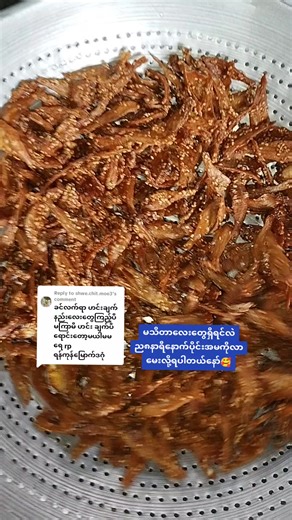 Replying to @shwe.chit.moe3 #ဖိုက်တင်း💪💪💪💪💪❤ #ညီမလေး #အောင်မြင်ပါစေ #🥰🥰🥰 #🙏🙏🙏