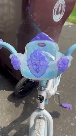 This FROZEN Bike was the best bday gift