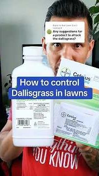 How to control Dallisgrass in Bermuda lawns