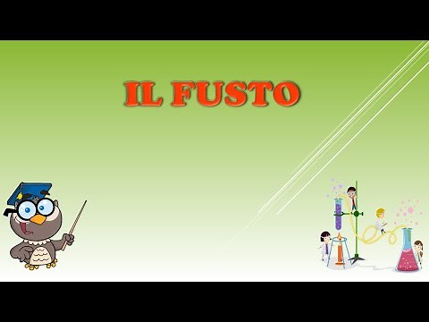 IL FUSTO