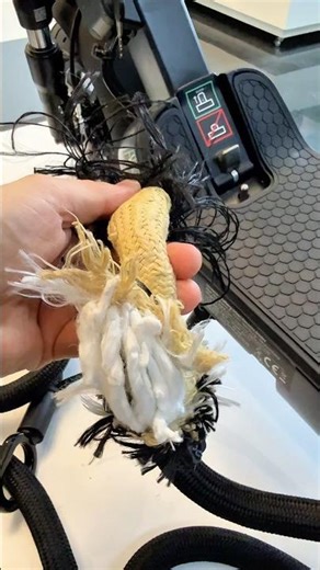 Mehr E-Scooter Sicherheit das Hochleistungsfasern! 😲 #escooter #sicherheit #schloss #egret