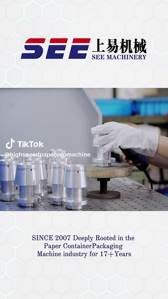 Expert Paper Container Packaging Machines Since 2007