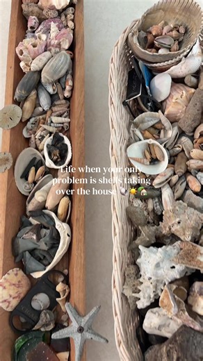 the only problem I want to have this summer 🌊 #beachhouse #shells #shellcollection #beachgirlaesthetic #beachcombing