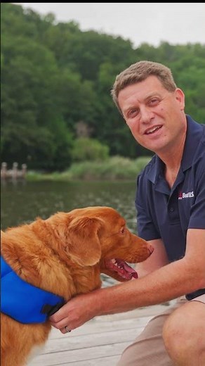 Take Your Dog Boating: Dog Life Jackets | BoatUS