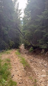 Droga do hardu? 😏 Już tu jest fun… ale dopiero w hardzie zaczyna się jazda! 🔥🏍💨 #LetsGo #HardTime #MotoFun Sherco Poland Stec Suspension Hebo Polska HEBO Factory GlacaGuard BEDNARZ ARCHITEKTURA Crossrace.eu | Oskar Kaczmarczyk #6