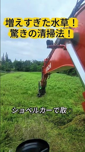 Overgrown Water Weeds! The Surprising Cleaning Method! #Excavator #EnvironmentalProtection #River...
