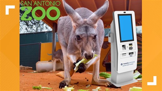San Antonio Zoo going cashless on April 18