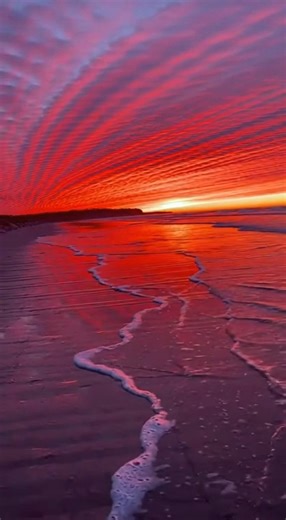 I’m not exaggerating when I say this might be the most insane sunset I’ve ever witnessed 🤯 No filters. No edits. Just the sky absolutely on fire. The clouds lit up like molten streaks, the ocean reflected every shade, and the birds crossed at exactly the right moment—as if the scene was choreographed. This is what a perfect summer evening in San Diego looks like when nature decides to go all in. Some sunsets don’t fade… they leave a mark 🌅✨ San Diego, California, USA 🇺🇸 | Otherworld Earth