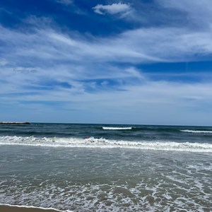 typeerrordev Schedule - Twitch