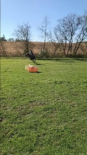 wait for it 5 4 3 2 1 GO!