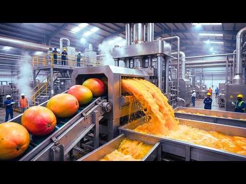 How mango juice is produced in large quantities – From fresh mangoes to bottled beverage