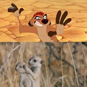 11K views · 129 reactions | Just a whole lot of cuteness happening here.... 女呂力黎 | Disney+ | Facebook