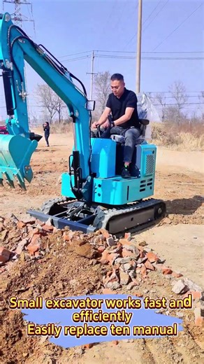 Mini excavators can not only do construction work, but also various kinds of agricultural work.