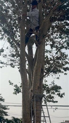 25 reactions · 10 comments | 13 đã qua沈Cũng chỉ là thử thách thôi mà❤️Spa cho các em để đón một mùa hoa 2026 rực rỡ nha cả nhà❤️ | Nguyễn Hùng Linh | Facebook