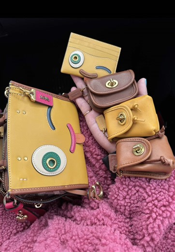 Exploring the Coach Rogue 17 and Card Case