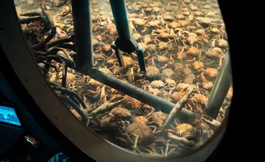 Intense Apocalyptic Sci-Fi Thriller 'Survive' Trailer with Hungry Crabs | FirstShowing.net