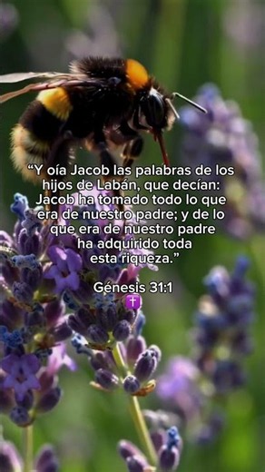 Génesis 31:1 — Cuando las bendiciones generan críticas ☺️