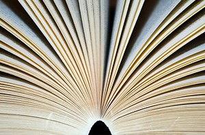 ¿Qué es y cómo hacer un manual de procedimientos? - Entorno Empresarial