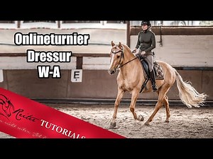 Working Equitation Online Turnier Dressur / mein erster Start in der Klasse WA // Reitertutorials